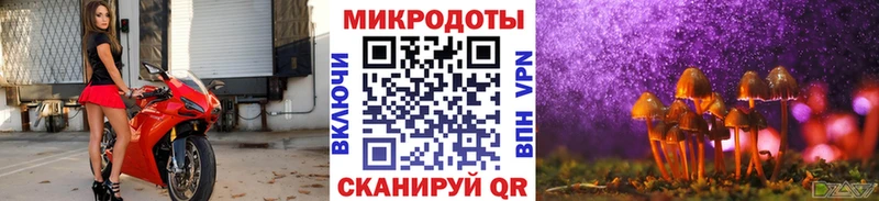 Псилоцибиновые грибы Cubensis  Озёрск 